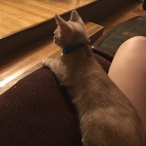 Meet your Posher, Hailey